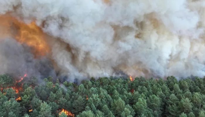 AFP__20260712__B9Z39G3__v1__HighRes__FranceFire-1783930252.jpg