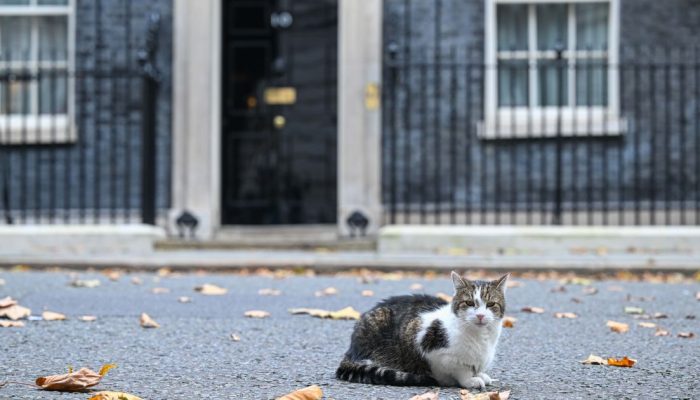 Larry-o-gato-de-Downing-Street-sentado-na-rua-enquanto-a-reuniao-semanal-do-gabinete-acontece-na-cap.jpeg