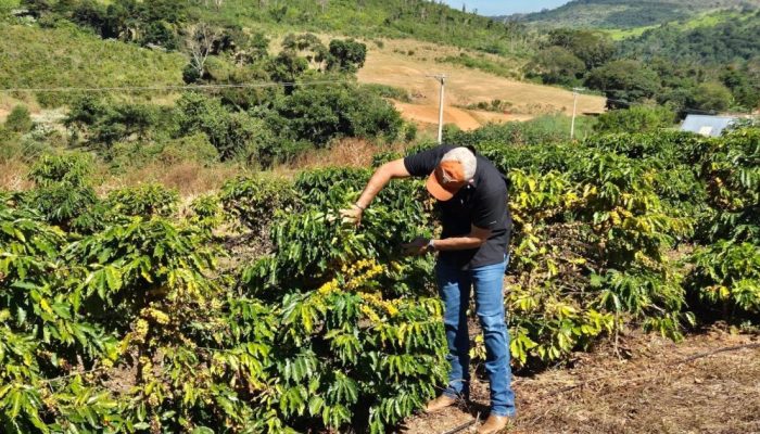 Produtor-de-cafe-em-Espirito-Santo-do-Pinhal-SP.jpeg
