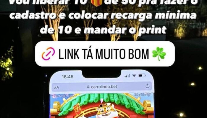 TIGRINHO.jpg
