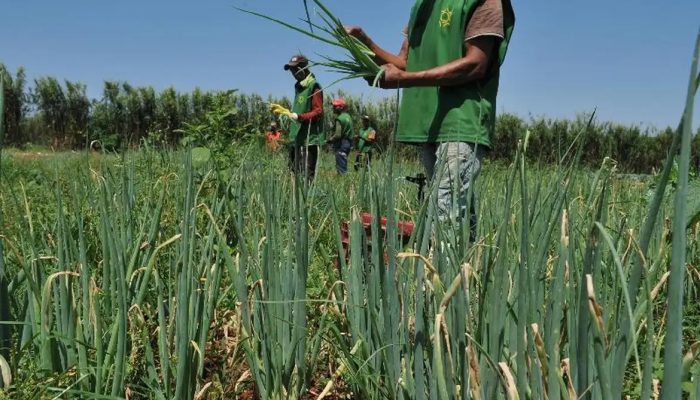 agricultura_familiar_2.jpg