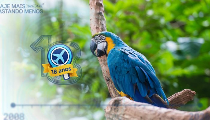 aniversario-melhores-destinos-18-anos-capa-zoo-sp-3.jpg