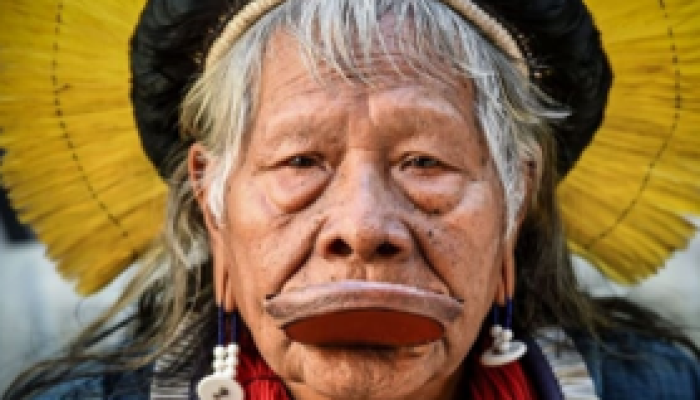 cacique_raoni.png