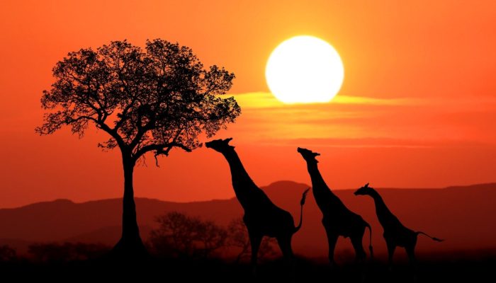 passagens-aereas-joanesburgo-africa-dos-sul-capa.jpg
