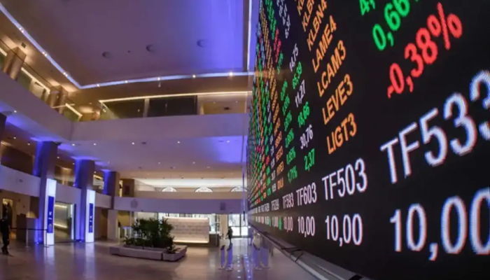 primeira-previa-da-carteira-do-ibovespa-b3-para-janeiro-de-2025.png
