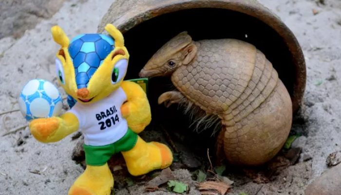 tatu-bola-fuleco.jpg